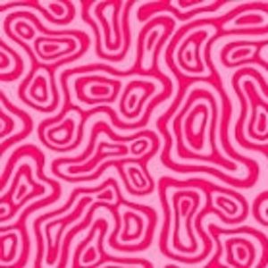 Meet your Posher, Amelia